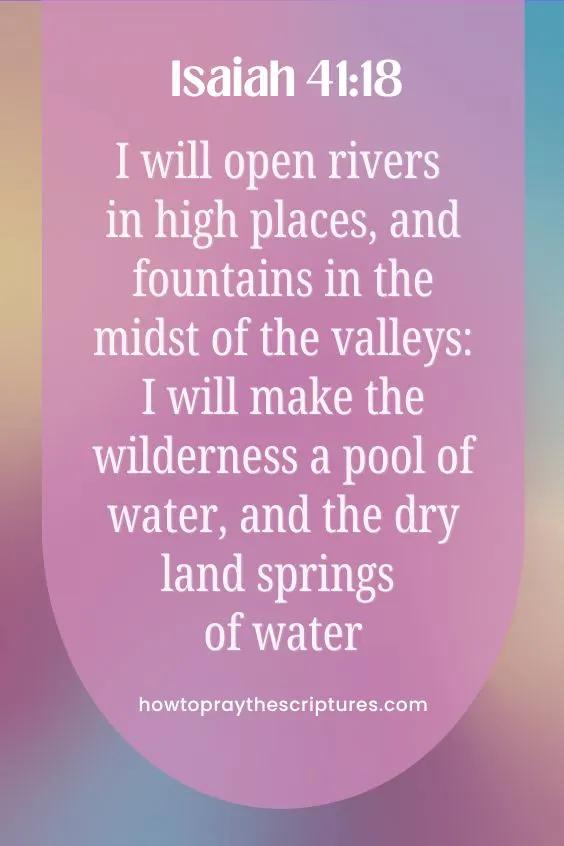 I will open rivers in high places, and fountains in the midst of the valleys: I will make the wilderness a pool of water, and the dry land springs of water