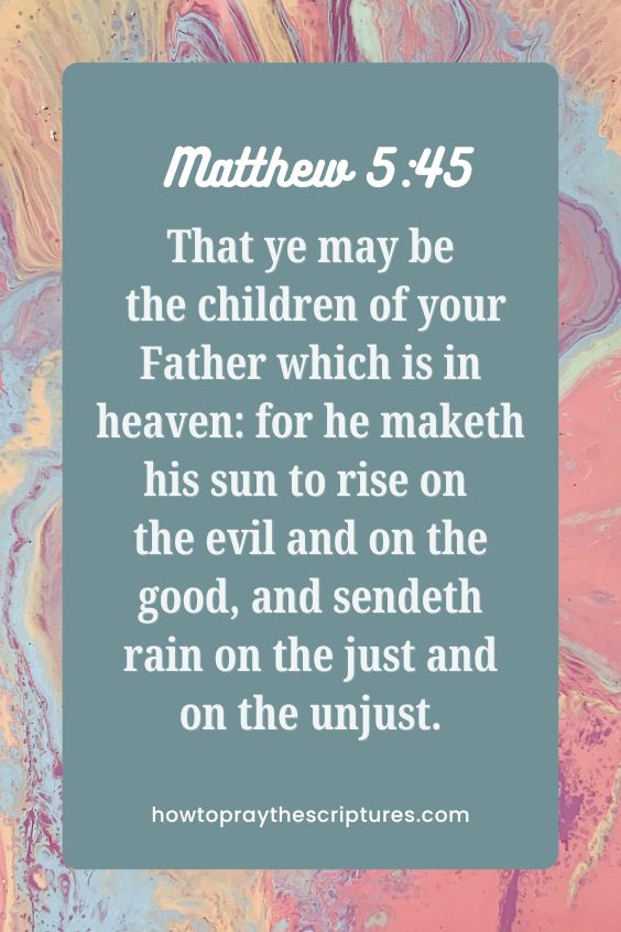 That ye may be the children of your Father which is in heaven: for he maketh his sun to rise on the evil and on the good, and sendeth rain on the just and on the unjust.