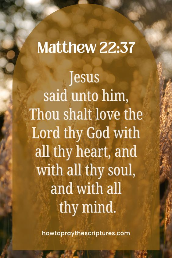 Jesus said unto him, Thou shalt love the Lord thy God with all thy heart, and with all thy soul, and with all thy mind.