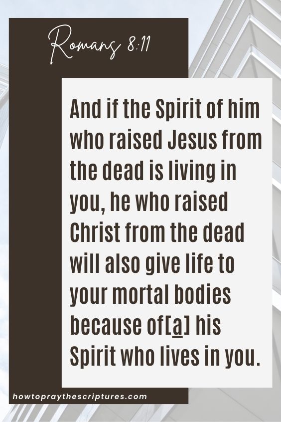 And if the Spirit of him who raised Jesus from the dead is living in you, he who raised Christ from the dead will also give life to your mortal bodies because of[a] his Spirit who lives in you.