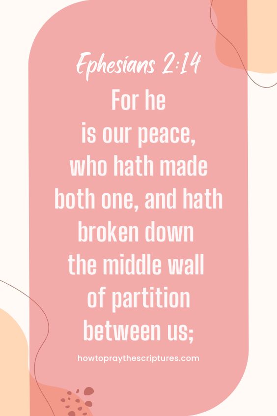 For he is our peace, who hath made both one, and hath broken down the middle wall of partition between us;