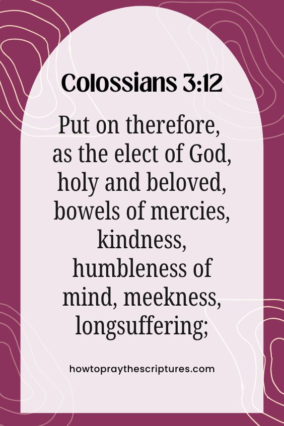 Put on therefore, as the elect of God, holy and beloved, bowels of mercies, kindness, humbleness of mind, meekness, longsuffering;