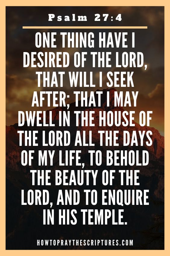 One thing have I desired of the Lord, that will I seek after; that I may dwell in the house of the Lord all the days of my life, to behold the beauty of the Lord, and to enquire in his temple.