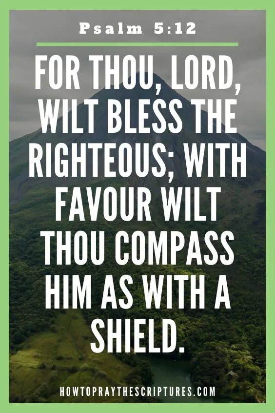 For thou, Lord, wilt bless the righteous; with favour wilt thou compass him as with a shield.