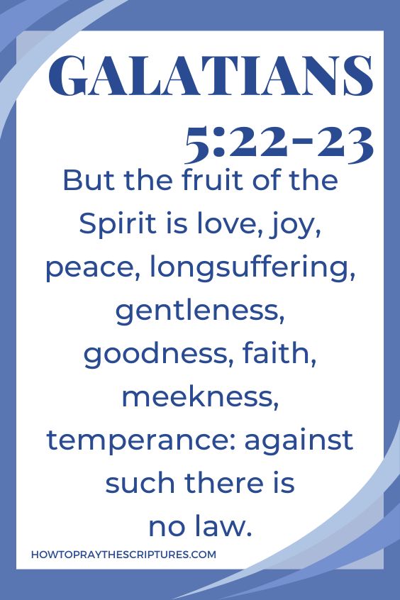 But the fruit of the Spirit is love, joy, peace, longsuffering, gentleness, goodness, faith, meekness, temperance: against such there is no law.