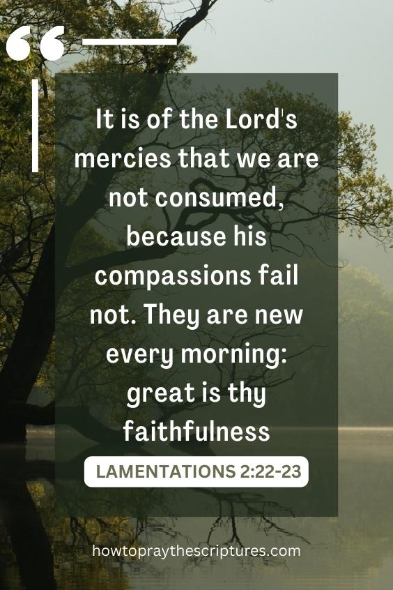 It is of the Lord's mercies that we are not consumed, because his compassions fail not. They are new every morning: great is thy faithfulness.