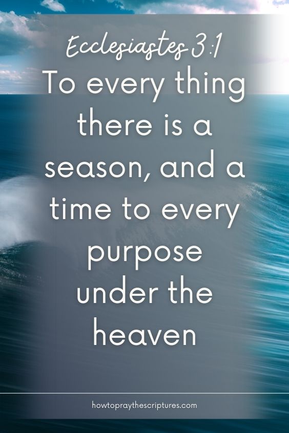 To every thing there is a season, and a time to every purpose under the heaven