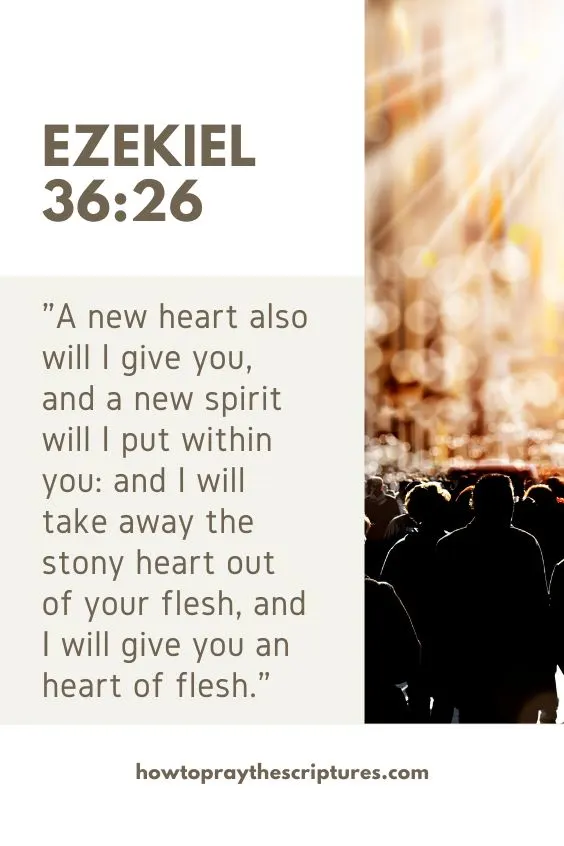 Ezekiel 36:26A new heart also will I <a href=