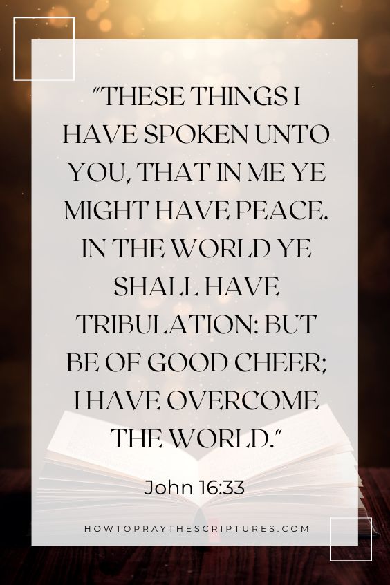 John 16:33These things I have spoken unto you, that in me ye might have peace. In the world ye shall have tribulation: but be of good cheer; I have overcome the world. 