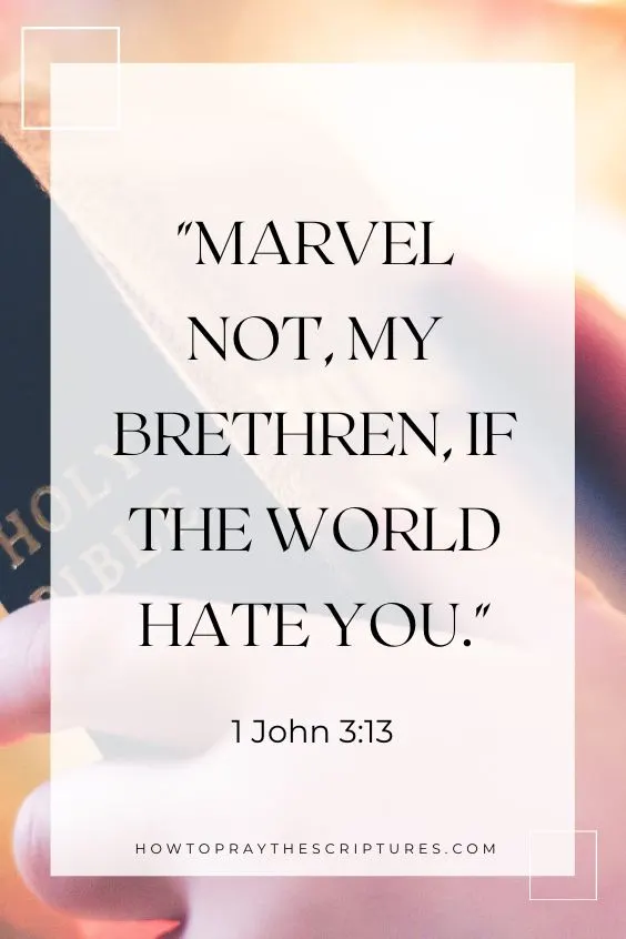1 John 3:13Marvel not, my brethren, if the world hate you. 