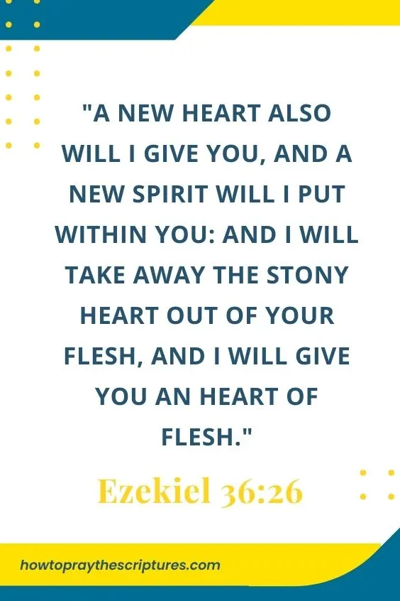 Ezekiel 36:26A new heart also will I give you, and a new spirit will I put within you: and I will take away the stony heart out of your flesh, and I will give you an heart of flesh. 