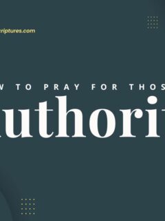 How to Pray for Those in Authority