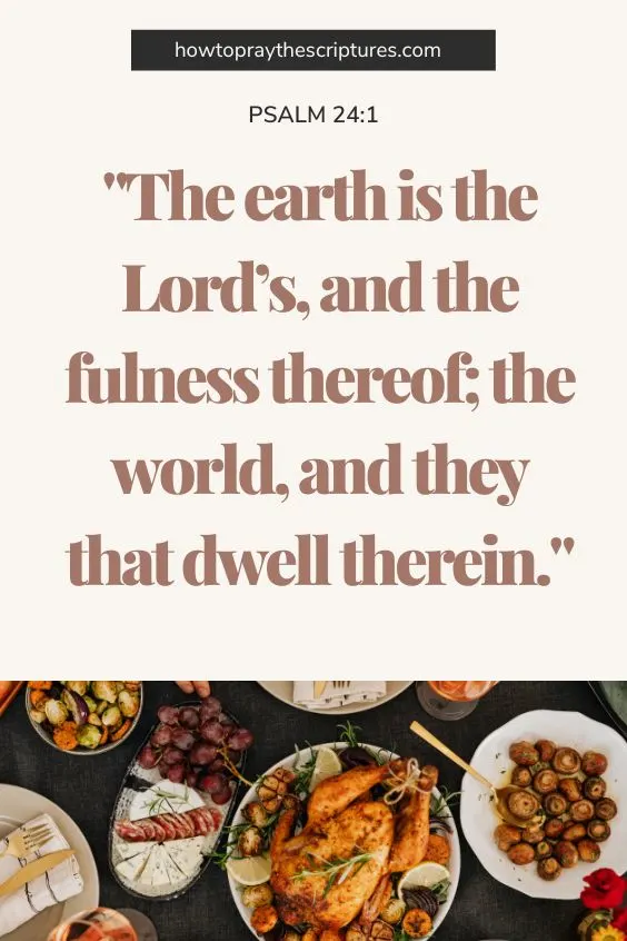 Psalm 24:1The earth is the Lord&rsquo;s, and the fulness thereof; the world, and they that dwell therein.