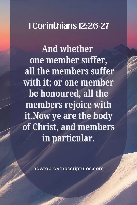 1 Corinthians 12:26-2726 And whether one member suffer, all the members suffer with it; or one member be honoured, all the members rejoice with it. 27 Now ye are the body of Christ, and members in particular.