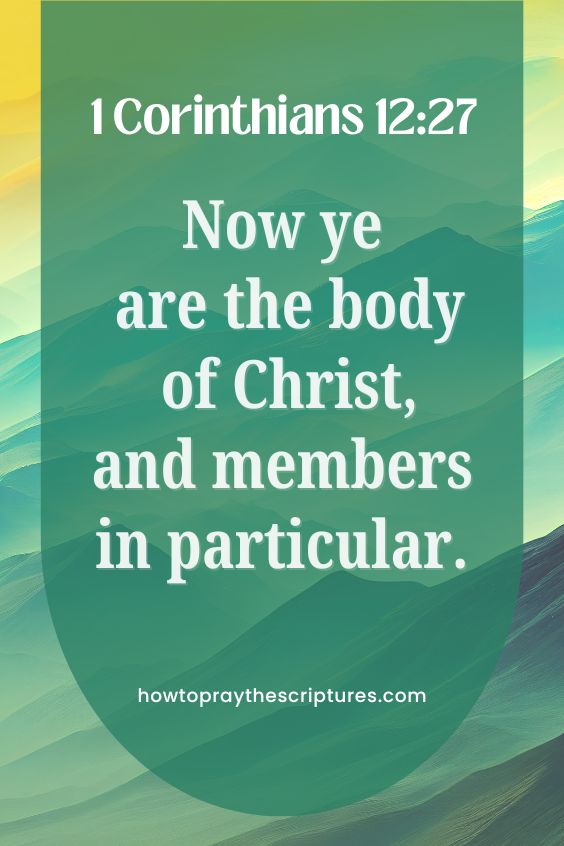 1 Corinthians 12:27Now ye are the body of Christ, and members in particular.