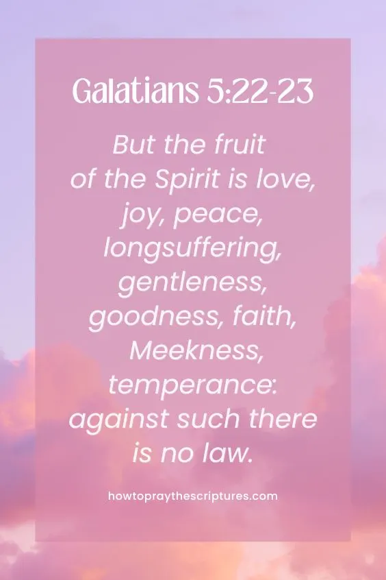 Galatians 5:22-2322 But the fruit of the Spirit is love, joy, peace, longsuffering, gentleness, goodness, faith, 23 Meekness, temperance: against such there is no law.