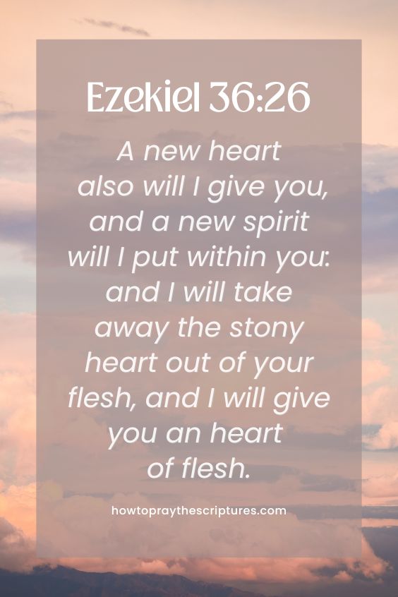 Ezekiel 36:26A new heart also will I give you, and a new spirit will I put within you: and I will take away the stony heart out of your flesh, and I will give you an heart of flesh.