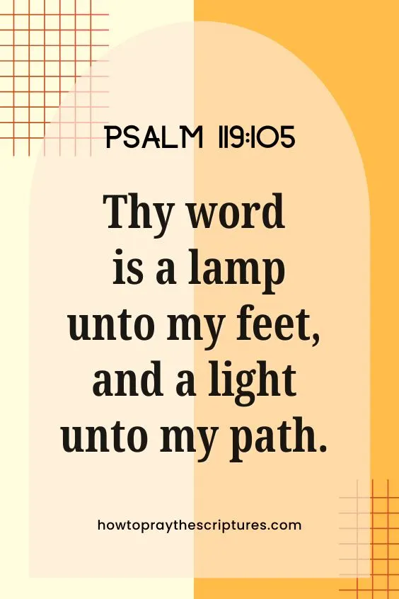 Psalm 119:105 Thy word is a lamp unto my feet, and a light unto my path.