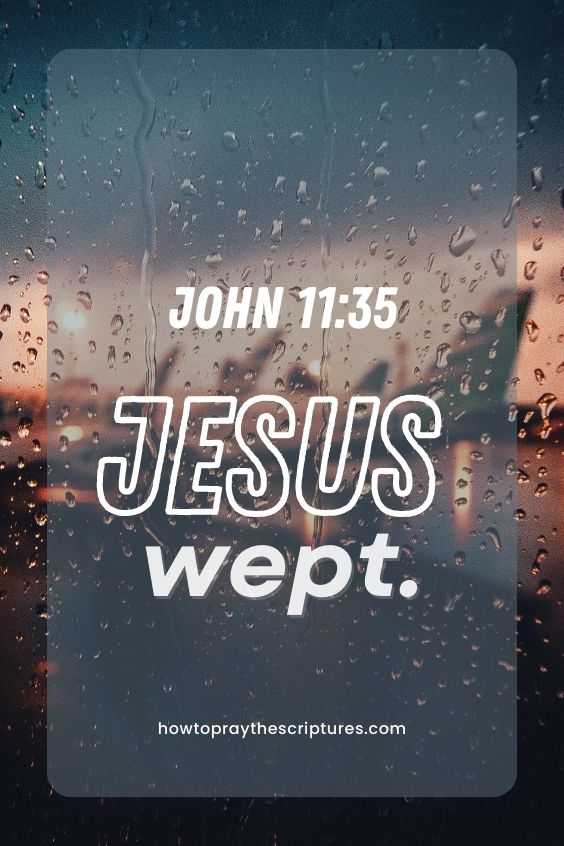 John 11:35Jesus wept. 