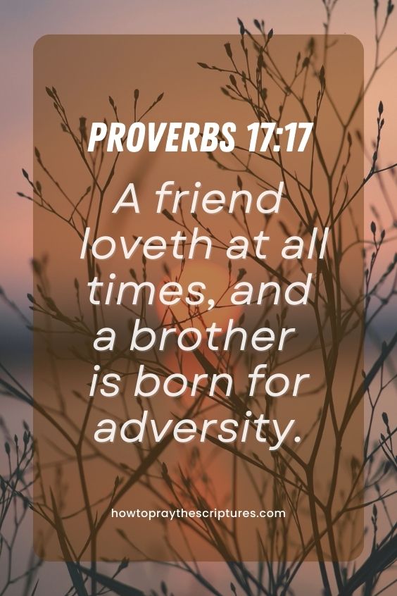 Proverbs 17:17A friend loveth at all times, and a brother is born for adversity. 