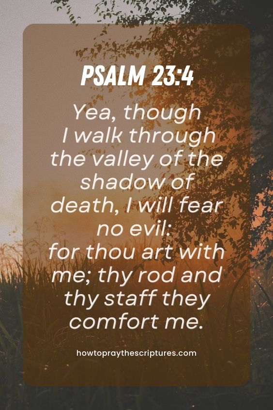 Psalm 23:4Yea, though I walk through the valley of the shadow of death, I will fear no evil: for thou art with me; thy rod and thy staff they comfort me. 