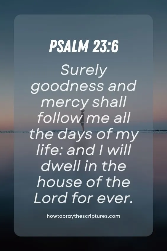 Psalm 23:6Surely goodness and mercy shall follow me all the days of my life: and I will dwell in the house of the Lord for ever. 