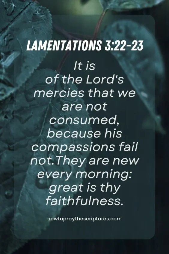Lamentations 3:22-2322 It is of the Lord's mercies that we are not consumed, because his compassions fail not. 23 They are new every morning: great is thy faithfulness. 