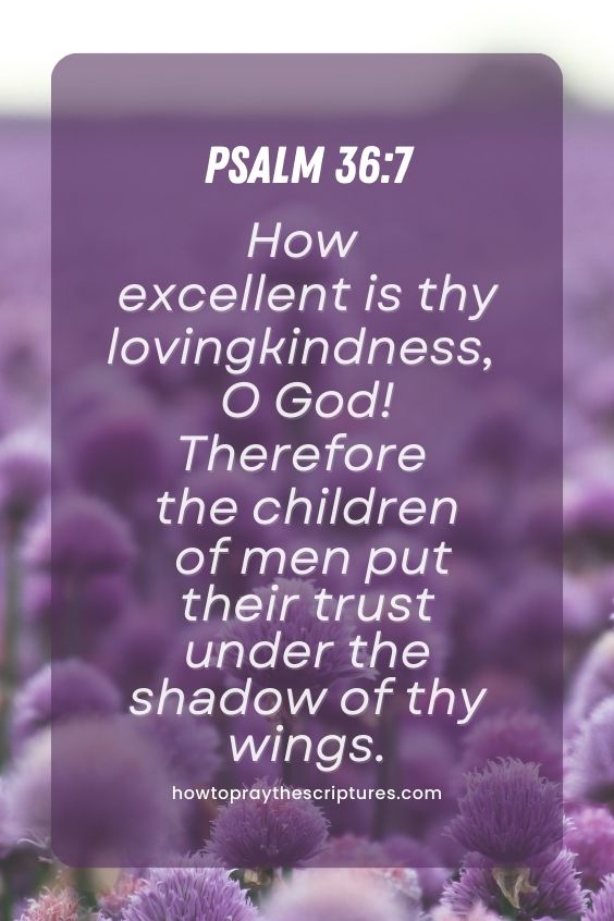 Psalm 36:7How excellent is thy lovingkindness, O God! Therefore the children of men put their trust under the shadow of thy wings. 