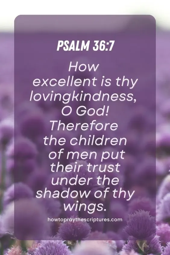 Psalm 36:7How excellent is thy lovingkindness, O God! Therefore the children of men put their trust under the shadow of thy wings. 