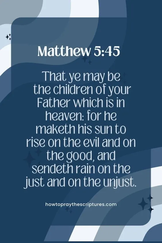 That ye may be the children of your Father which is in heaven: for he maketh his sun to rise on the evil and on the good, and sendeth rain on the just and on the unjust.