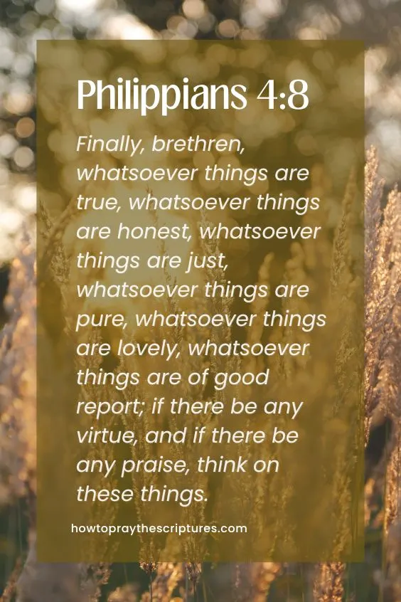 Finally, brethren, whatsoever things are true, whatsoever things are honest, whatsoever things are just, whatsoever things are pure, whatsoever things are lovely, whatsoever things are of good report; if there be any virtue, and if there be any praise, think on these things.
