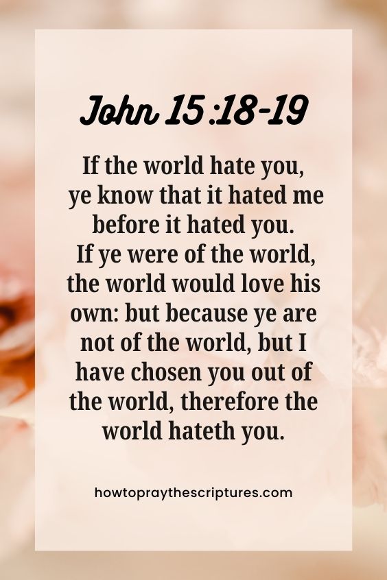 John 15:18-1918 If the world hate you, ye know that it hated me before it hated you. 19 If ye were of the world, the world would love his own: but because ye are not of the world, but I have chosen you out of the world, therefore the world hateth you.