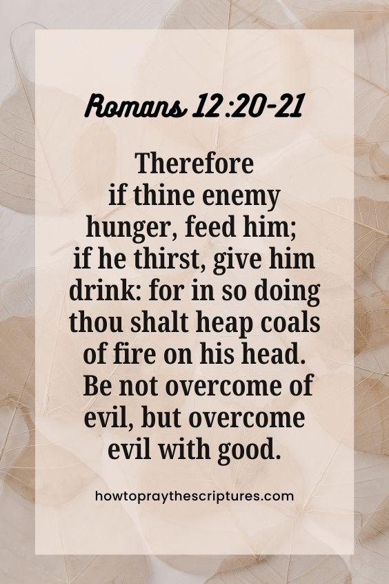 Romans 12:20-2120 Therefore if thine enemy hunger, feed him; if he thirst, give him drink: for in so doing thou shalt heap coals of fire on his head. 21 Be not overcome of evil, but overcome evil with good.