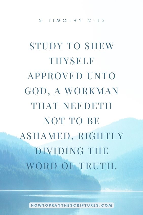 Study to shew thyself approved unto God, a workman that needeth not to be ashamed, rightly dividing the word of truth.