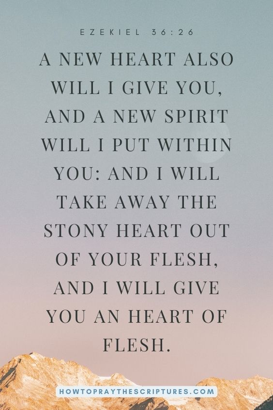 A new heart also will I give you, and a new spirit will I put within you: and I will take away the stony heart out of your flesh, and I will give you an heart of flesh.