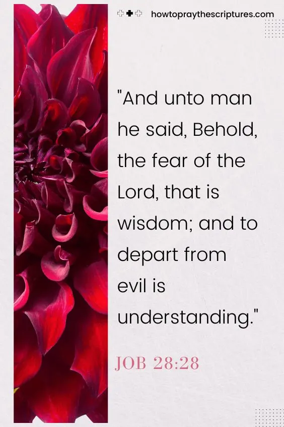 And unto man he said, Behold, the fear of the Lord, that is wisdom; and to depart from evil is understanding.