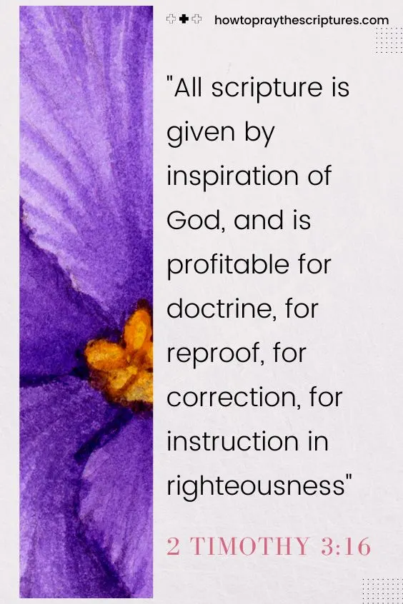 All scripture is given by inspiration of God, and is profitable for doctrine, for reproof, for correction, for instruction in righteousness: