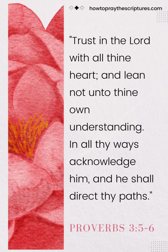 Trust in the Lord with all thine heart; and lean not unto thine own understanding.In all thy ways acknowledge him, and he shall direct thy paths.