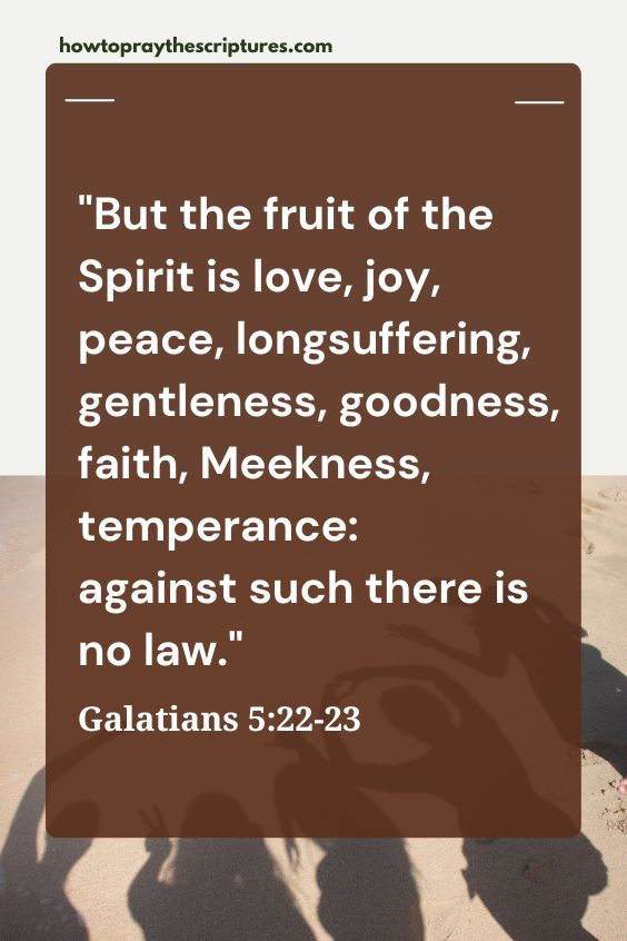 But the fruit of the Spirit is love, joy, peace, longsuffering, gentleness, goodness, faith,Meekness, temperance: against such there is no law.