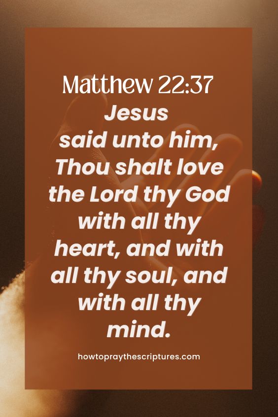 Jesus said unto him, Thou shalt love the Lord thy God with all thy heart, and with all thy soul, and with all thy mind.