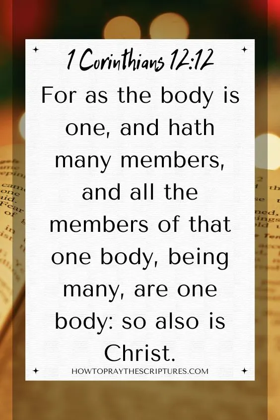 [1 Corinthians 12:12]For as the body is one, and hath many members, and all the members of that one body, being many, are one body: so also is Christ.