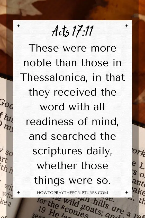 [Acts 17:11]These were more noble than those in Thessalonica, in that they received the word with all readiness of mind, and searched the scriptures daily, whether those things were so.