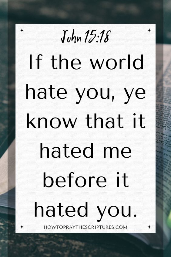 [John 15:18]If the world hate you, ye know that it hated me before it hated you.