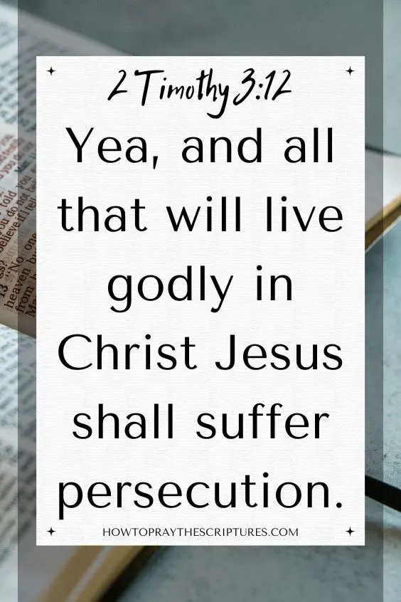 [2 Timothy 3:12]Yea, and all that will live godly in Christ Jesus shall suffer persecution.