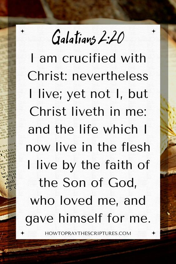 [Galatians 2:20]I am crucified with Christ: nevertheless I live; yet not I, but Christ liveth in me: and the life which I now live in the flesh I live by the faith of the Son of God, who loved me, and gave himself for me.