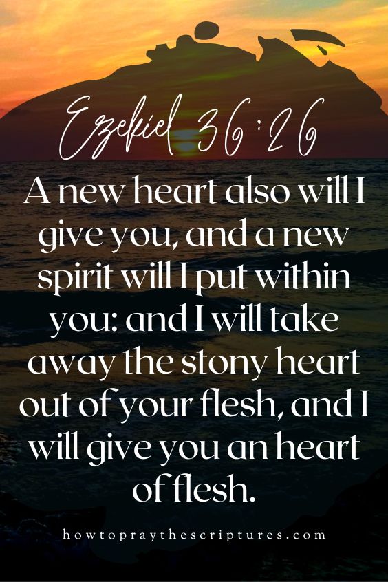[Ezekiel 36:26]A new heart also will I give you, and a new spirit will I put within you: and I will take away the stony heart out of your flesh, and I will give you an heart of flesh.