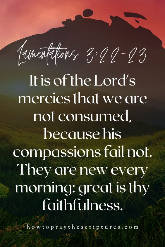 [Lamentations 3:22-23]It is of the Lord's mercies that we are not consumed, because his compassions fail not. They are new every morning: great is thy faithfulness.