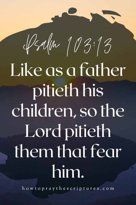 [Psalm 103:13]Like as a father pitieth his children, so the Lord pitieth them that fear him.