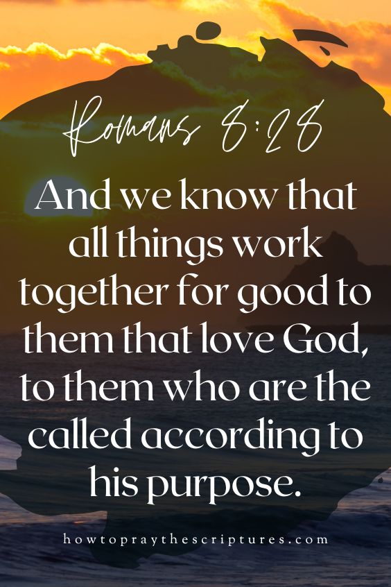 [Romans 8:28]And we know that all things work together for good to them that love God, to them who are the called according to his purpose.
