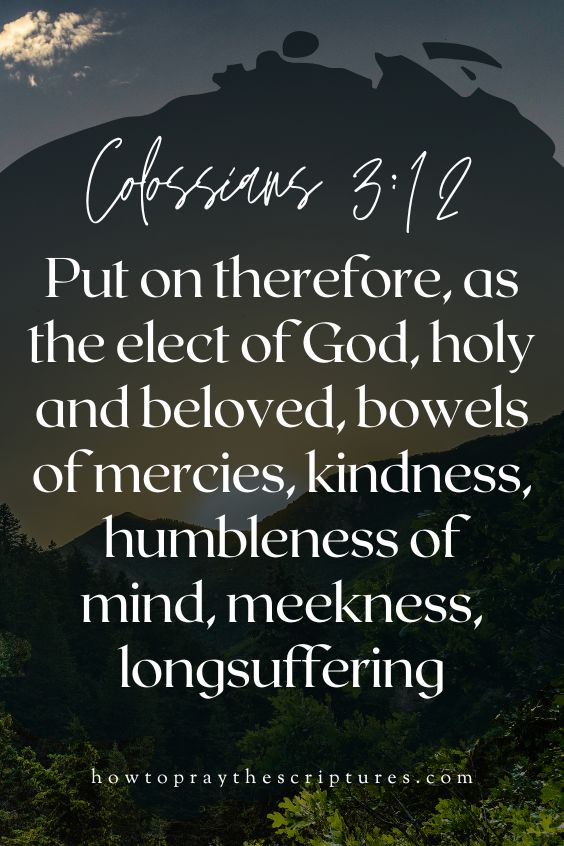 [Colossians 3:12]Put on therefore, as the elect of God, holy and beloved, bowels of mercies, kindness, humbleness of mind, meekness, longsuffering